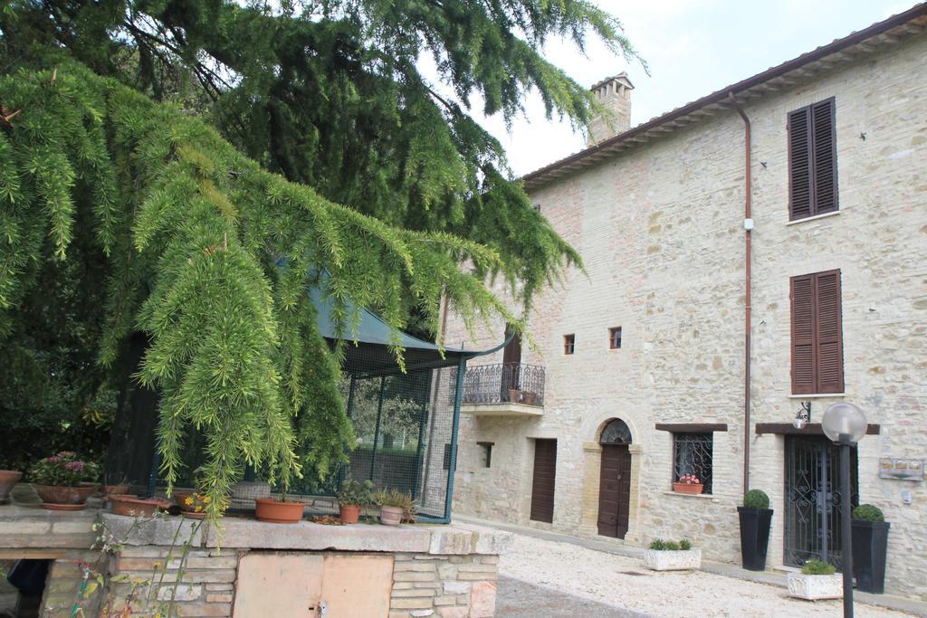 Hotel La Quiete Assisi Eksteriør billede