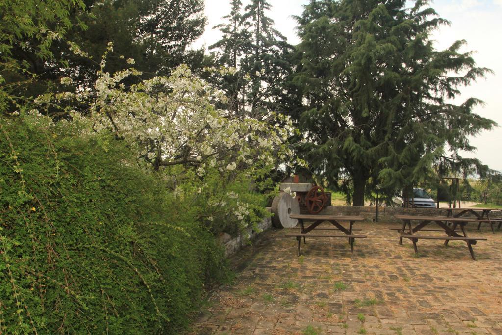 Hotel La Quiete Assisi Eksteriør billede