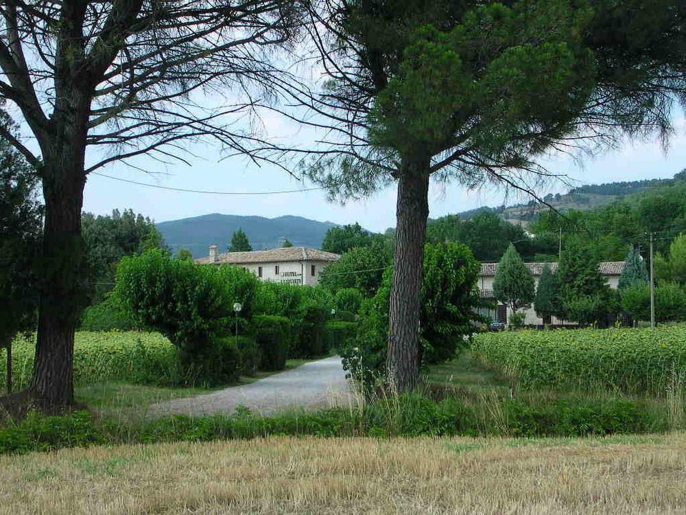Hotel La Quiete Assisi Eksteriør billede