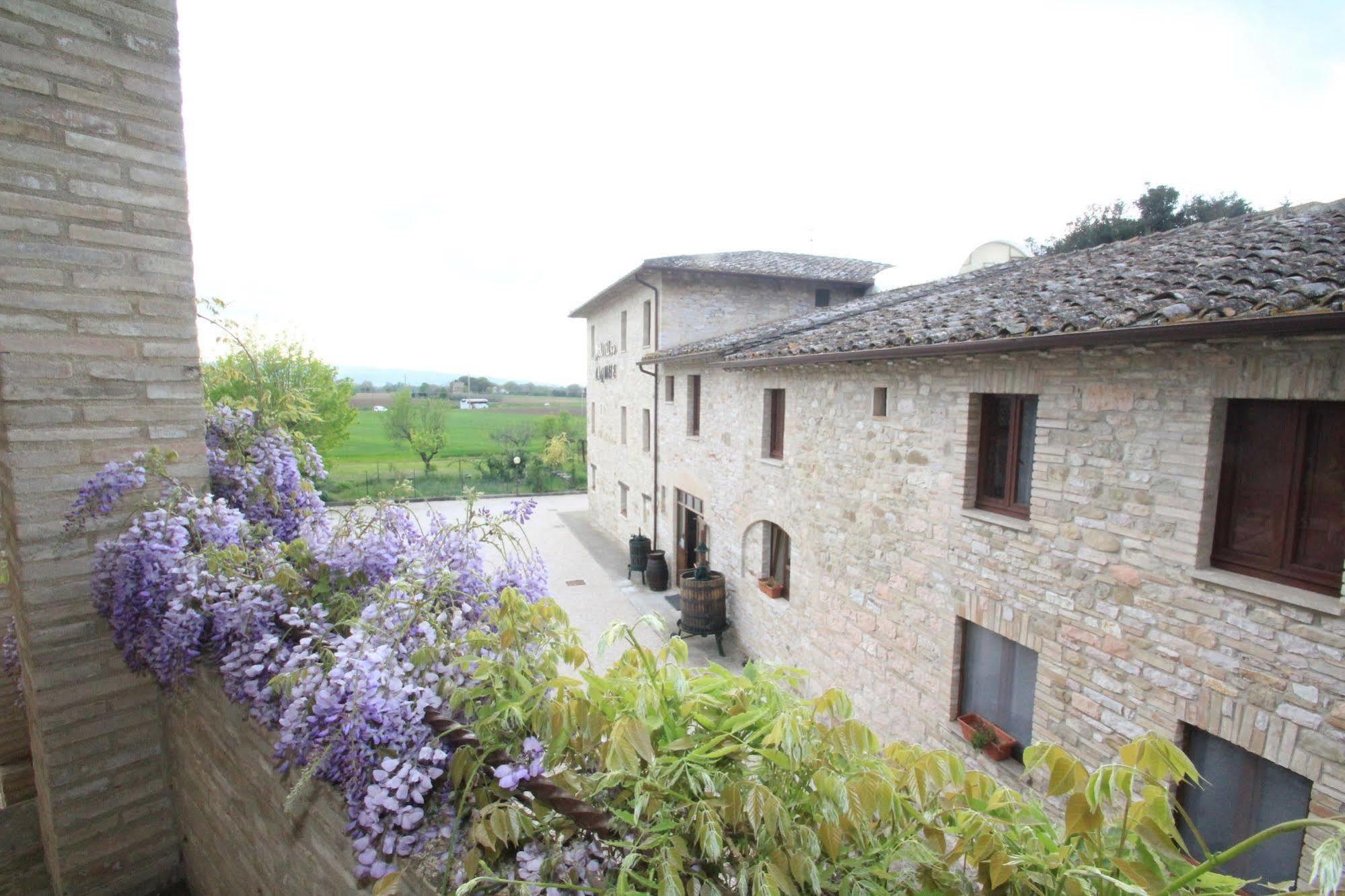 Hotel La Quiete Assisi Eksteriør billede