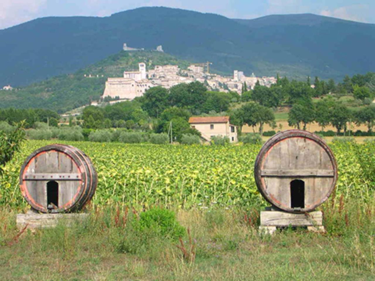 Hotel La Quiete Assisi Eksteriør billede