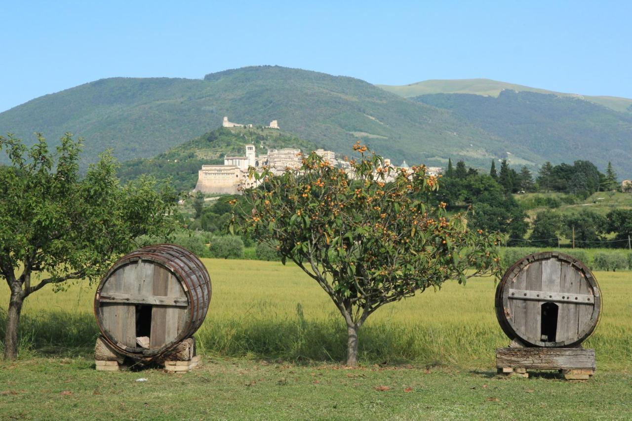 Hotel La Quiete Assisi Eksteriør billede